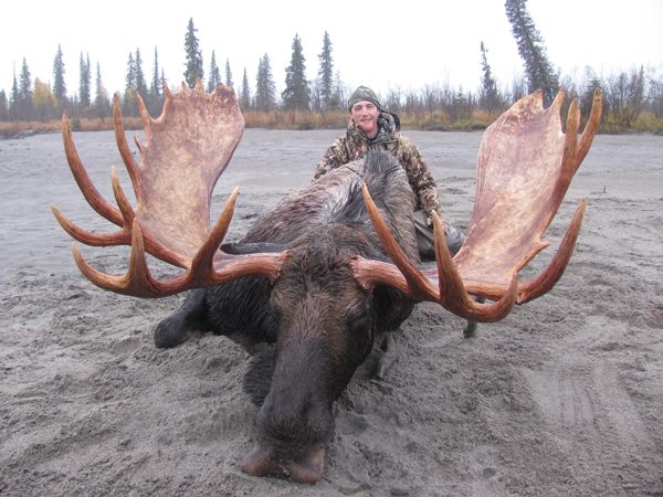 bbb-alaska-moose-1