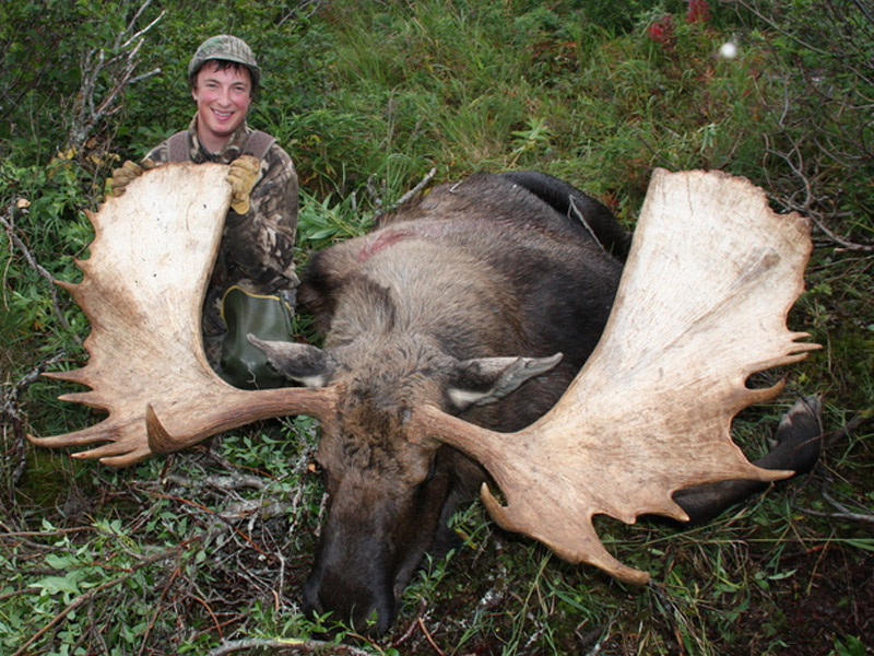 PageLines-Moose-2.jpg